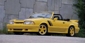 saleen93.jpg