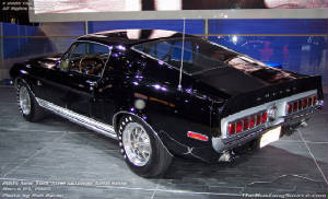 shelby.jpg